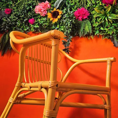 Frida's Nyaraló Whitby